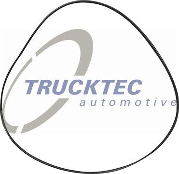 Trucktec Automotive 08.17.019 - Blīvgredzens, Dzesēšanas šķidruma cauruļvads autodraugiem.lv