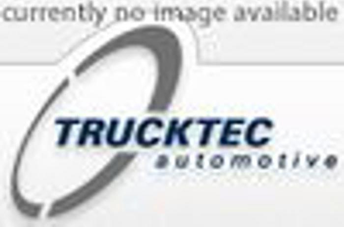 Trucktec Automotive 02.67.266 - Sadales vārpstas piedziņas ķēde autodraugiem.lv