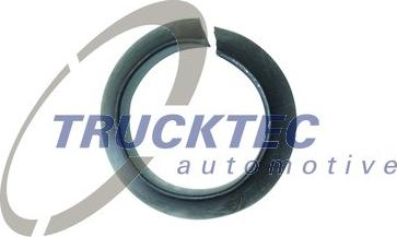 Trucktec Automotive 83.22.001 - Atsperpaplāksne, Disks autodraugiem.lv