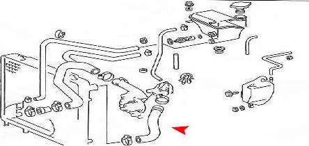 ÜRO Parts 1245011782 - Radiatora cauruļvads autodraugiem.lv