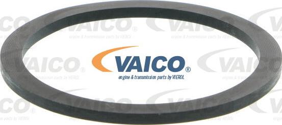 VAICO V46-0034 - Degvielas filtrs autodraugiem.lv