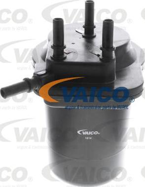 VAICO V46-0033 - Degvielas filtrs autodraugiem.lv
