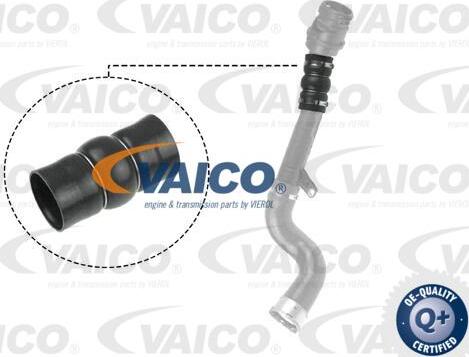 VAICO V46-0831 - Pūtes sistēmas gaisa caurule autodraugiem.lv