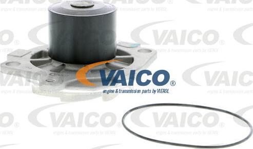 VAICO V40-50044 - Ūdenssūknis autodraugiem.lv