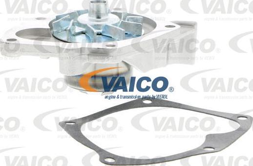 VAICO V40-50057 - Ūdenssūknis autodraugiem.lv