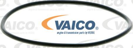 VAICO V40-50019 - Ūdenssūknis autodraugiem.lv