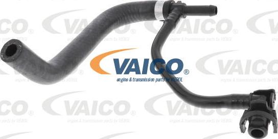 VAICO V40-0536 - Radiatora cauruļvads autodraugiem.lv