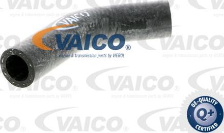 VAICO V40-0367 - Radiatora cauruļvads autodraugiem.lv