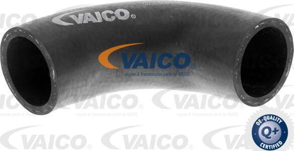 VAICO V40-0375 - Radiatora cauruļvads autodraugiem.lv