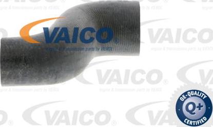 VAICO V40-0370 - Radiatora cauruļvads autodraugiem.lv