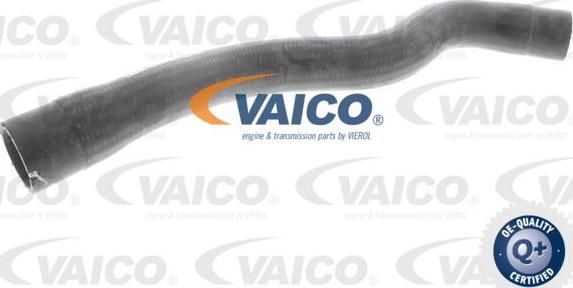 VAICO V40-1995 - Radiatora cauruļvads autodraugiem.lv