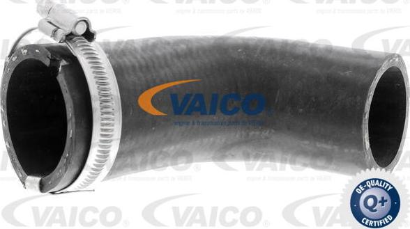 VAICO V40-1490 - Pūtes sistēmas gaisa caurule autodraugiem.lv