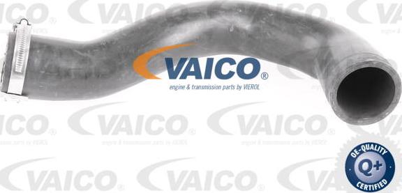 VAICO V40-1509 - Pūtes sistēmas gaisa caurule autodraugiem.lv