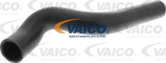 VAICO V40-1170 - Radiatora cauruļvads autodraugiem.lv