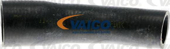 VAICO V40-1173 - Radiatora cauruļvads autodraugiem.lv