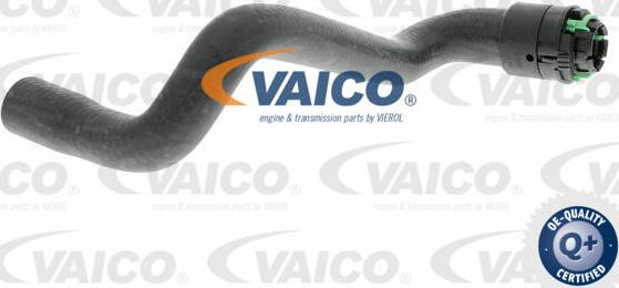 VAICO V40-1347 - Radiatora cauruļvads autodraugiem.lv