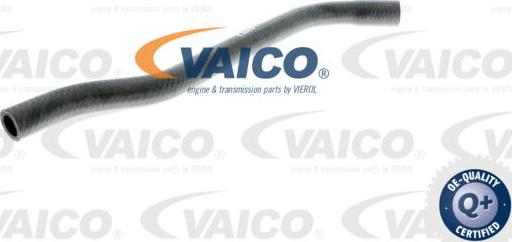 VAICO V40-1354 - Radiatora cauruļvads autodraugiem.lv