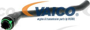 VAICO V40-1352 - Radiatora cauruļvads autodraugiem.lv