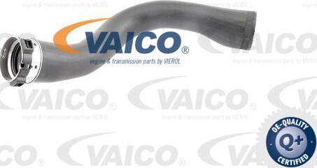 VAICO V40-1364 - Pūtes sistēmas gaisa caurule autodraugiem.lv