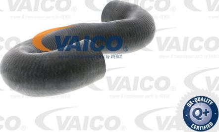 VAICO V40-1336 - Radiatora cauruļvads autodraugiem.lv