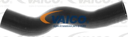VAICO V40-1323 - Radiatora cauruļvads autodraugiem.lv