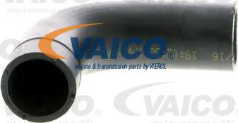 VAICO V40-1370 - Šļūtene, Kartera ventilācija autodraugiem.lv