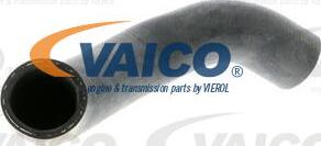 VAICO V40-1754 - Radiatora cauruļvads autodraugiem.lv