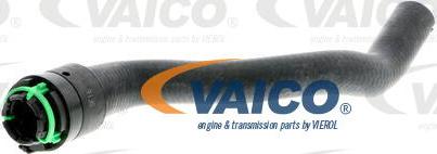 VAICO V40-1767 - Radiatora cauruļvads autodraugiem.lv