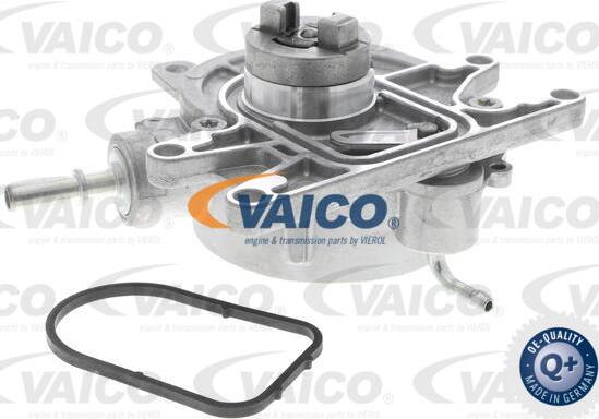 VAICO V40-8124 - Vakuumsūknis, Bremžu sistēma autodraugiem.lv