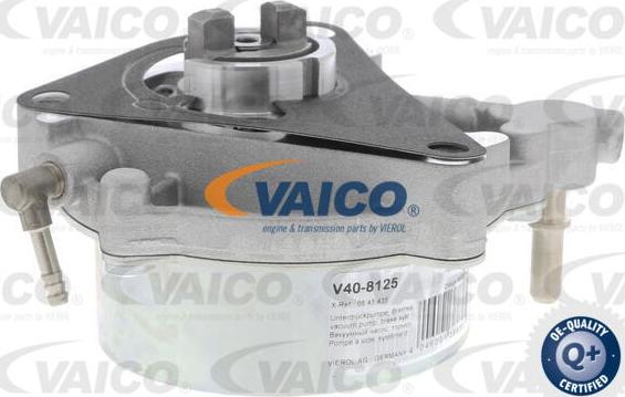 VAICO V40-8125 - Vakuumsūknis, Bremžu sistēma autodraugiem.lv