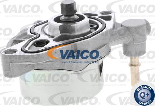 VAICO V40-8121 - Vakuumsūknis, Bremžu sistēma autodraugiem.lv