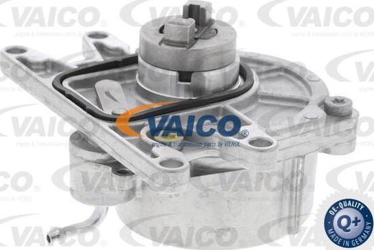 VAICO V40-8123 - Vakuumsūknis, Bremžu sistēma autodraugiem.lv