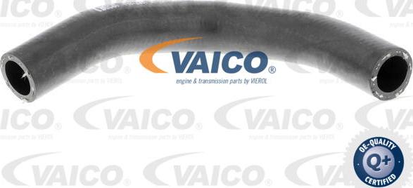 VAICO V40-2001 - Radiatora cauruļvads autodraugiem.lv