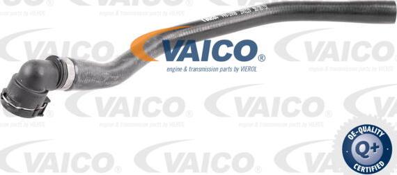 VAICO V40-2008 - Radiatora cauruļvads autodraugiem.lv