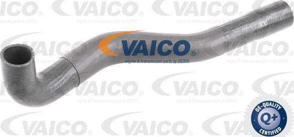 VAICO V48-0200 - Pūtes sistēmas gaisa caurule autodraugiem.lv