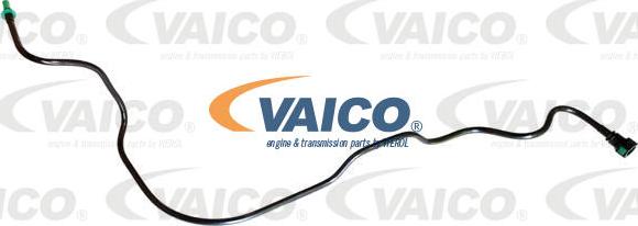 VAICO V42-0956 - Degvielas vads autodraugiem.lv
