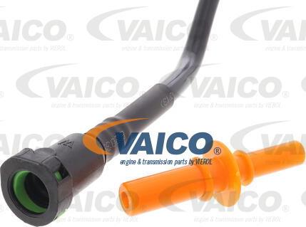 VAICO V42-0960 - Degvielas vads autodraugiem.lv