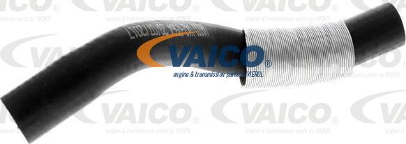 VAICO V42-0564 - Pūtes sistēmas gaisa caurule autodraugiem.lv