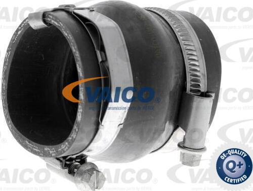 VAICO V42-0570 - Pūtes sistēmas gaisa caurule autodraugiem.lv