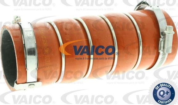 VAICO V42-0615 - Pūtes sistēmas gaisa caurule autodraugiem.lv