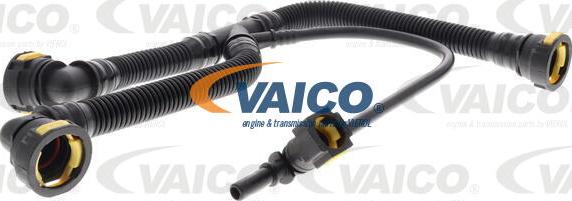 VAICO V42-0854 - Šļūtene, Kartera ventilācija autodraugiem.lv