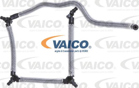 VAICO V42-0857 - Degvielas šļūtene autodraugiem.lv