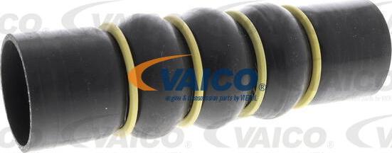 VAICO V42-0871 - Pūtes sistēmas gaisa caurule autodraugiem.lv