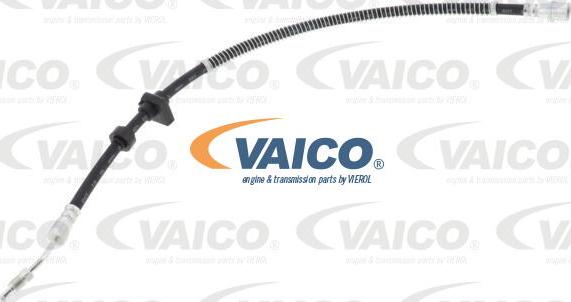 VAICO V42-0746 - Bremžu šļūtene autodraugiem.lv