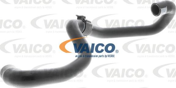 VAICO V10-4984 - Šļūtene, Apsildes sistēmas siltummainis autodraugiem.lv
