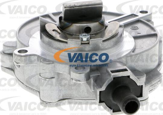 VAICO V10-4308 - Vakuumsūknis, Bremžu sistēma autodraugiem.lv
