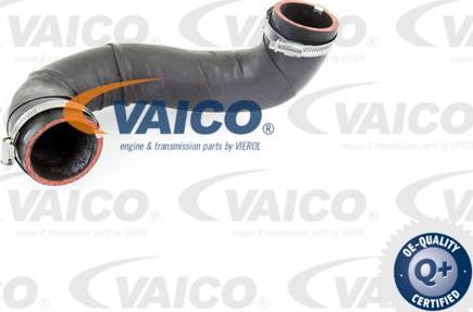 VAICO V10-4381 - Pūtes sistēmas gaisa caurule autodraugiem.lv