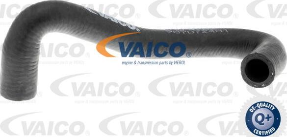 VAICO V10-4282 - Radiatora cauruļvads autodraugiem.lv