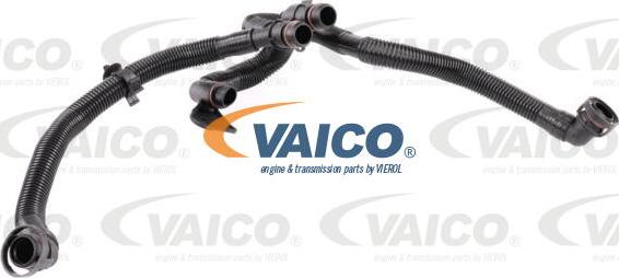 VAICO V10-5458 - Šļūtene, Kartera ventilācija autodraugiem.lv