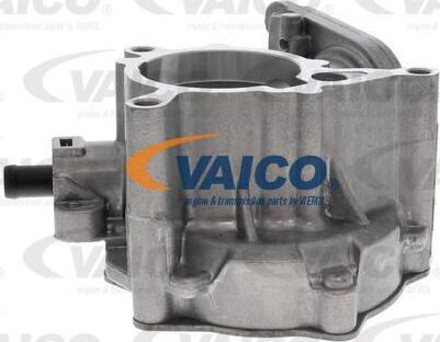 VAICO V10-5593 - Vakuumsūknis, Bremžu sistēma autodraugiem.lv